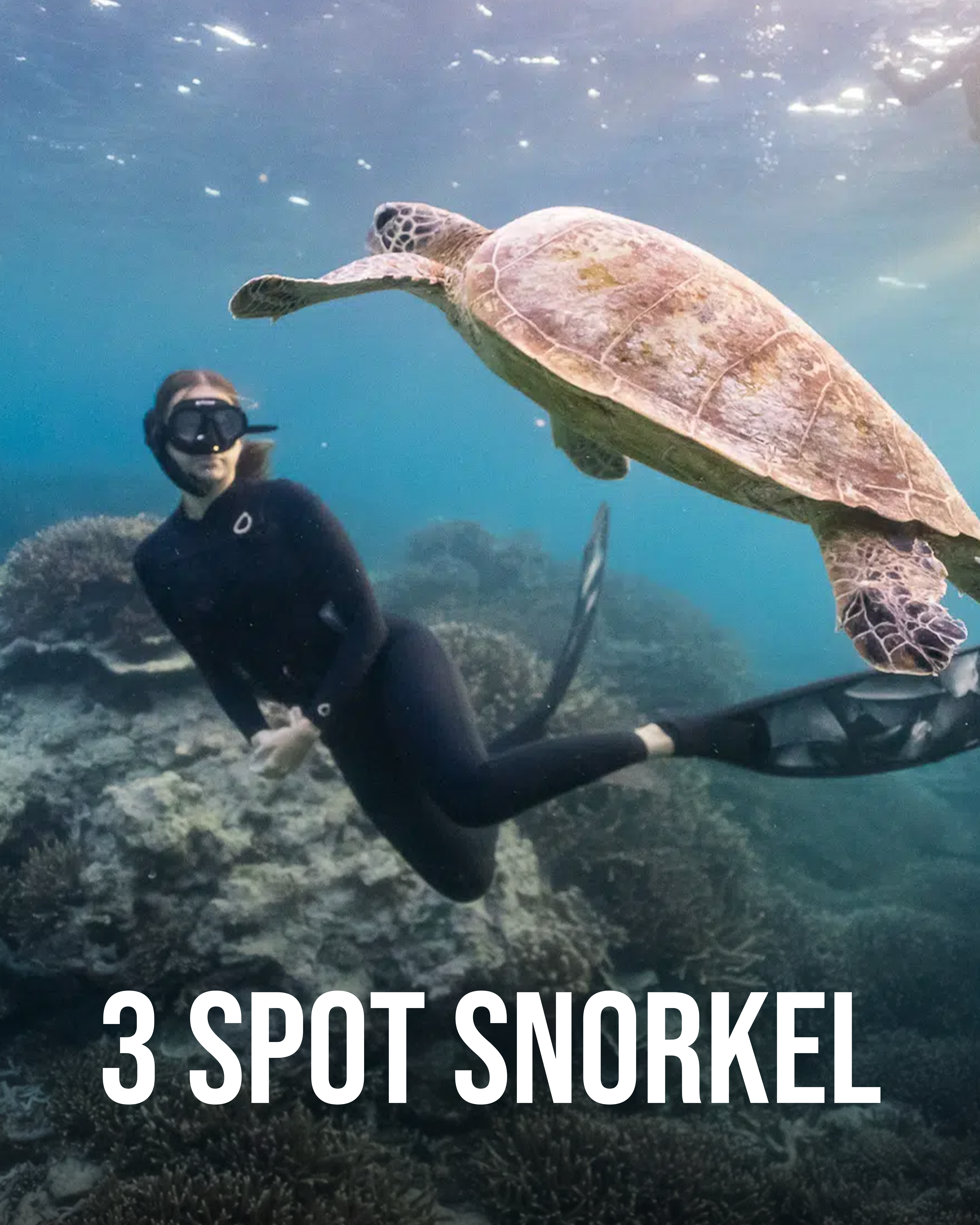 3 Spot snorkel