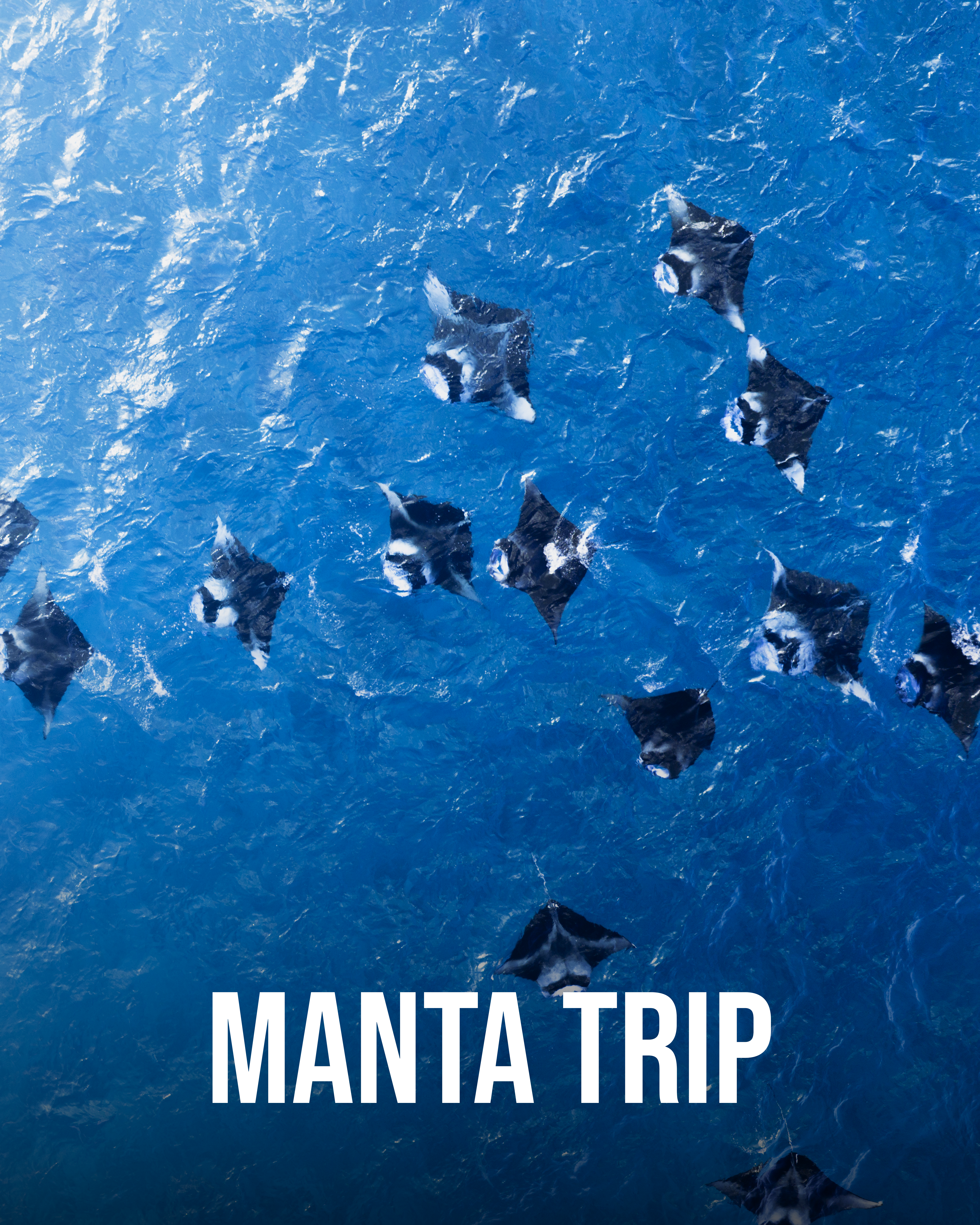 Manta snorkel